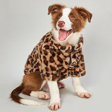 Load image into Gallery viewer, Leopard Dog Sweater
